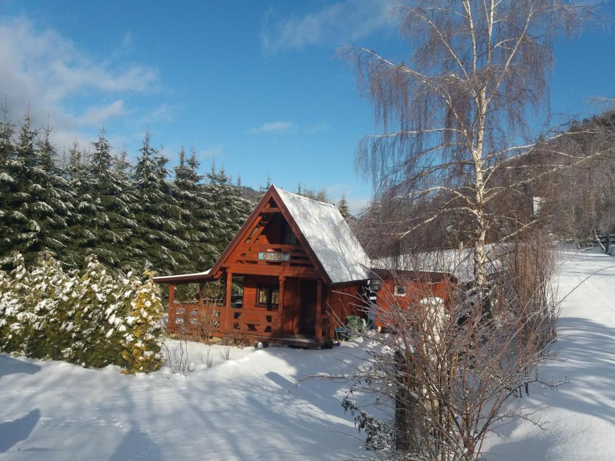 Chalet Chatki Malgorzatki Bystre (Lesko)